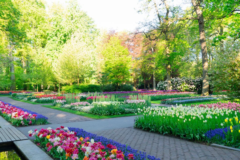 Park- und Grünanlagen